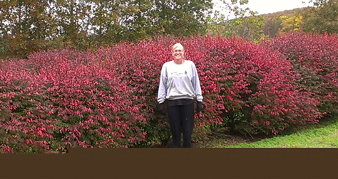 Burning Bush