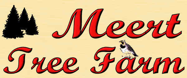Meert Tree Farm