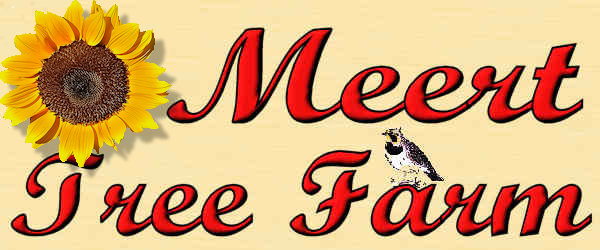 Meert Tree Farm