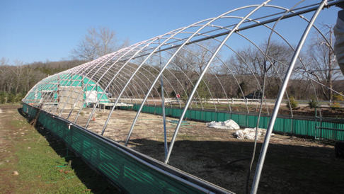 greenhouse