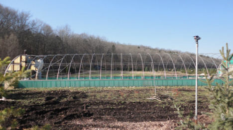 greenhouse